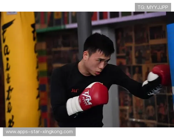 拳击世界擂台新秀冷静反击赢得尊重 拳击世界擂台新秀冷静反击赢得尊重